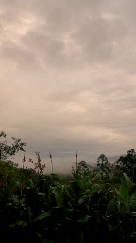 Clouds in transit to the west over the farms and forest covered with a soft fog, at dawn, time lapse shot in the eastern Andean mountains of central Colombia, near the Iguaque natural reserve.