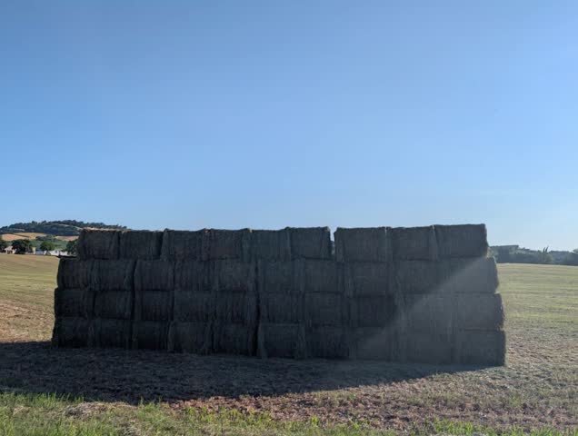 A large wall of stacked hay bales in a sunny field under a clear sky. A bright agricultural scene, ideal for countryside, harvest, and rural landscape content