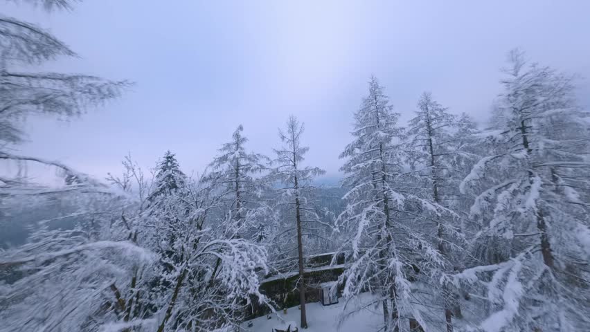 Moody drone shot looking over frozen white spruce treetops during a heavy winter blizzard under dark gloomy overcast sky.
