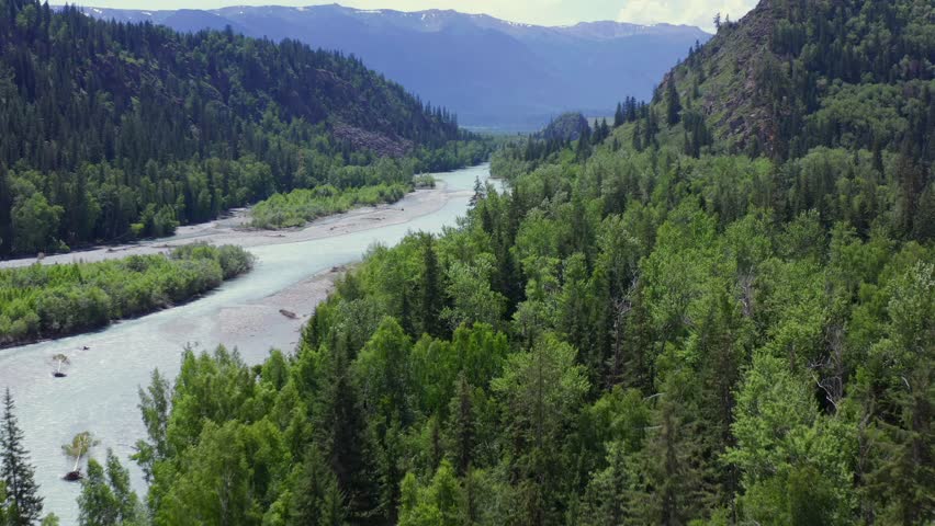 Aerial view of mountain river flowing through dense green forest valley with hills and wilderness landscape, scenic nature background showing untouched environment and travel destination