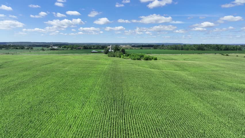 Low-level aerial drone flyover of a vibrant green corn field beside a rural road intersection, with farm buildings, silos, and open countryside stretching to the horizon.