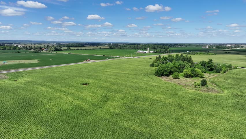 Low-level aerial drone flyover of a vibrant green corn field beside a rural road intersection, with farm buildings, silos, and open countryside stretching to the horizon.