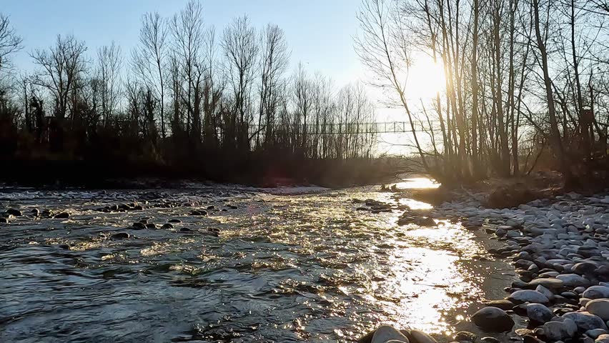 The River Flows Slowly in the Ticino Park Nature Reserve
