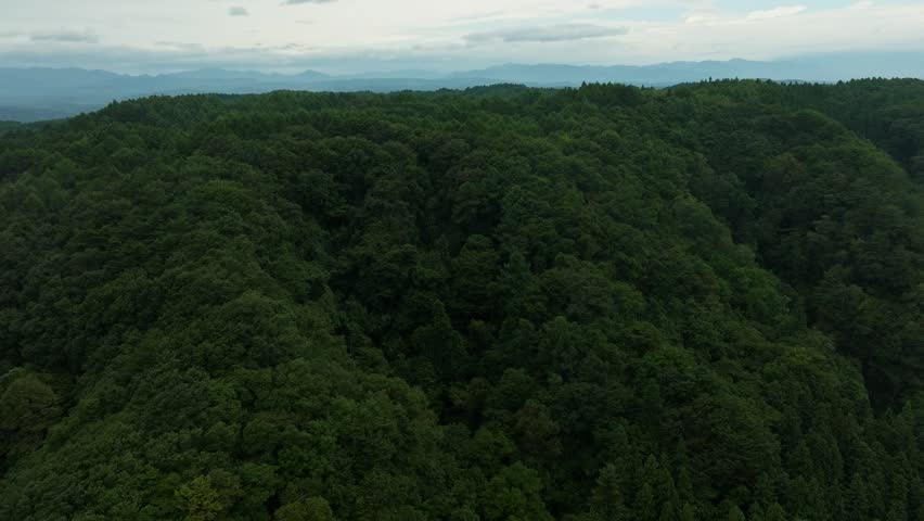 Ninohe, Iwate, Japan - A Scenic View of Dense Green Forests and Rolling Hills - Aerial Drone Shot
