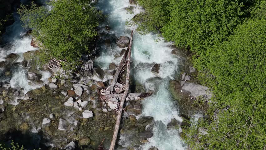 Aerial View of Wild River Rapids Flowing Through a Lush Forest in British Columbia, Canada