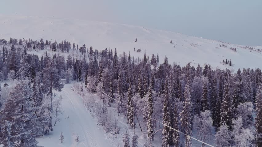 Aerial view of Luosto fell featuring snow-covered pine trees and a vast winter landscape under a soft sky in Sodankyla, Lapland, Finland.