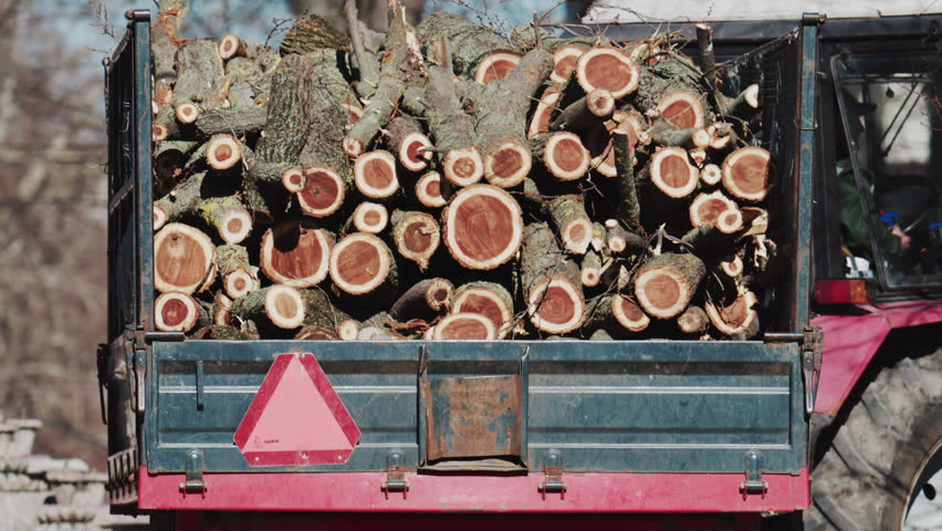 Wide shot of a trailer filled with logs moving through a park on a sunny day