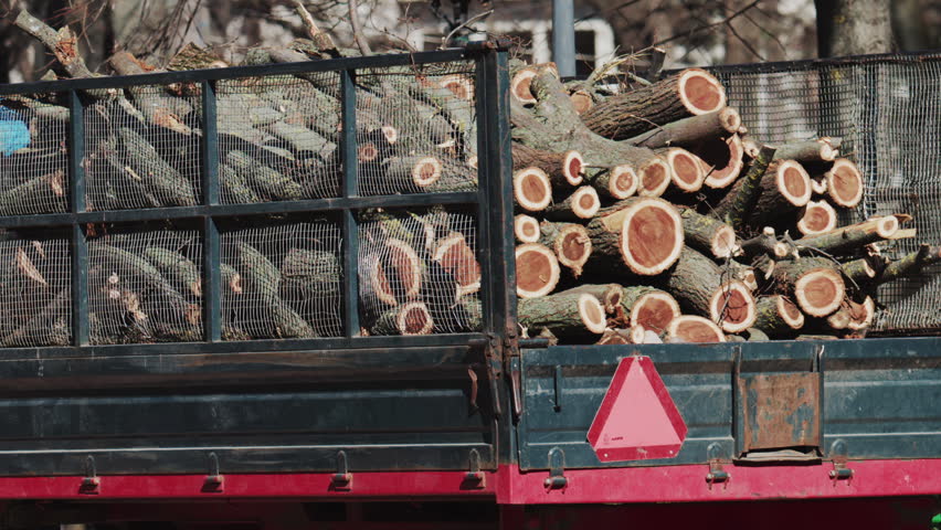 Wide shot of a trailer filled with logs moving through a park on a sunny day