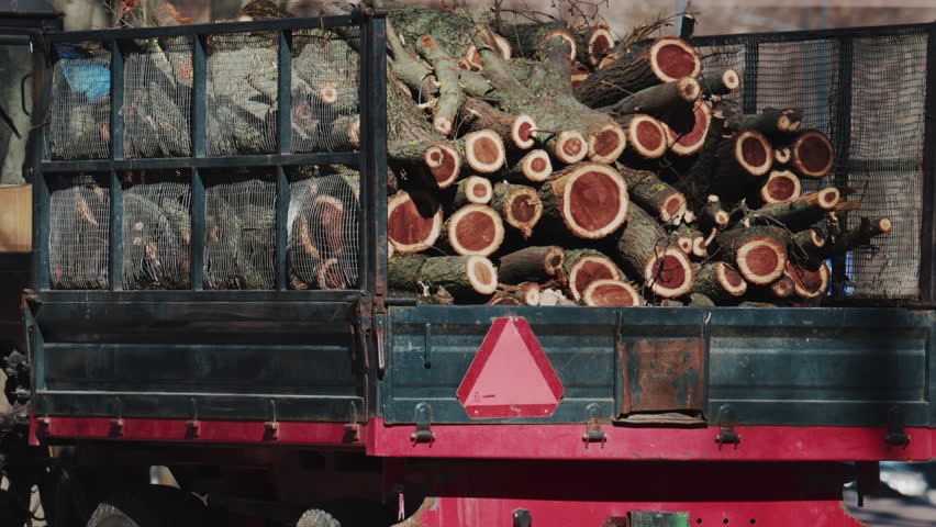 Wide shot of a trailer filled with logs moving through a park on a sunny day