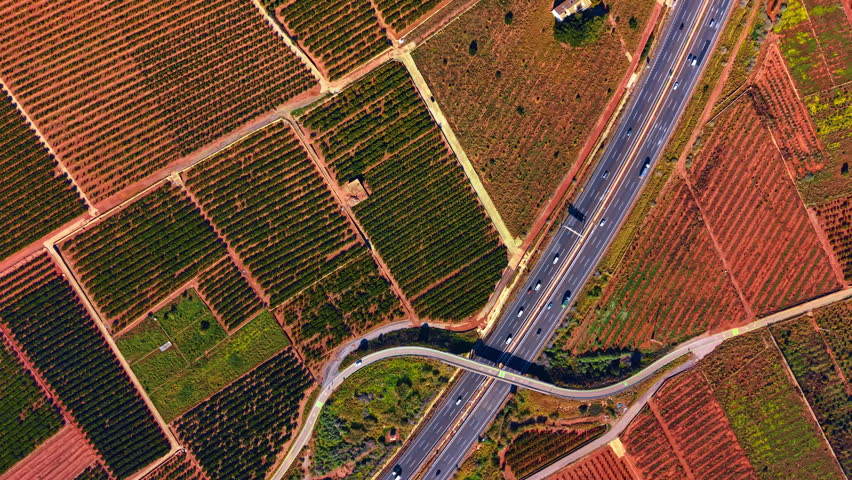 Diagonal high angle view of highway running through terracotta orchards. Drone perspective of multi lane motorway with cars passing between vibrant green plantation rows on red earth