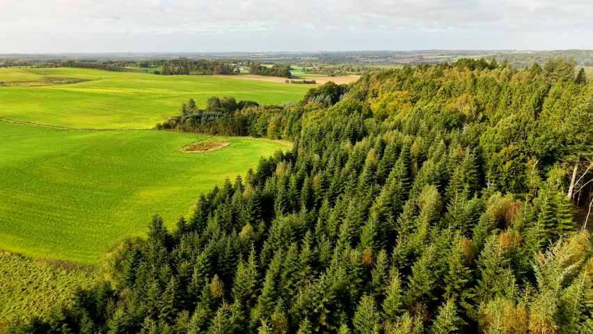 Jutland, Denmark countryside with lush forests and farmland under clear skies.