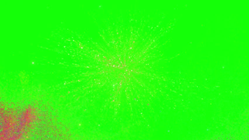 Vibrant fireworks explode in the night sky creating a festive atmosphere.