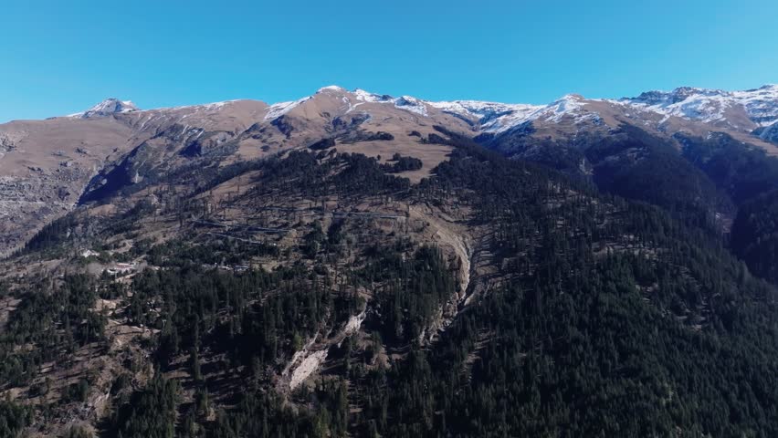 Pine forest tree line covers mountain slopes beneath snow-capped Himalayan peaks in Himachal Pradesh. Aerial view reveals the transition from dense conifer coverage to barren high-altitude terrain.