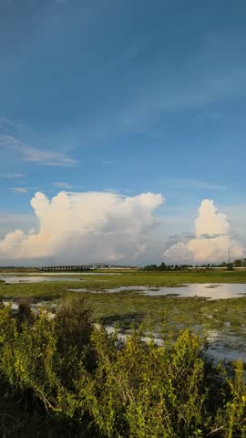 clouds in the sky above the swamp