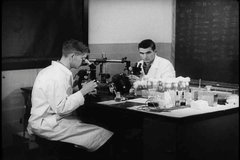 1950s - Raw footage of scientists in a research lab in the 1950s.