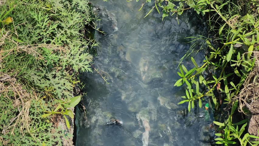Close up top view of dark polluted wastewater moving through a narrow drainage channel bordered by green vegetation, highlighting urban runoff, contamination, and environmental challenges.