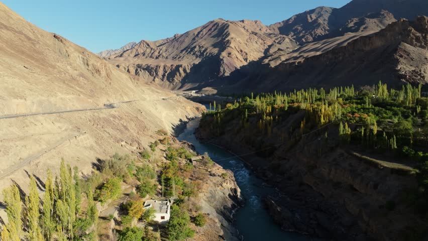 Indus River flowing through arid valley with green forested oasis near Takmachik Village in Ladakh, India. Aerial view reveals winding road along barren slopes and Himalayan peaks under clear sky.