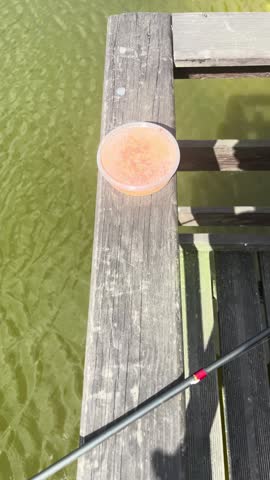 Colorful fishing bait worms close up for angling