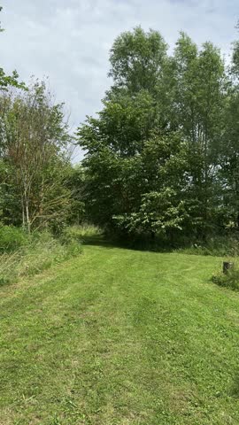 Sunny green park meadow with trees and mowed grass