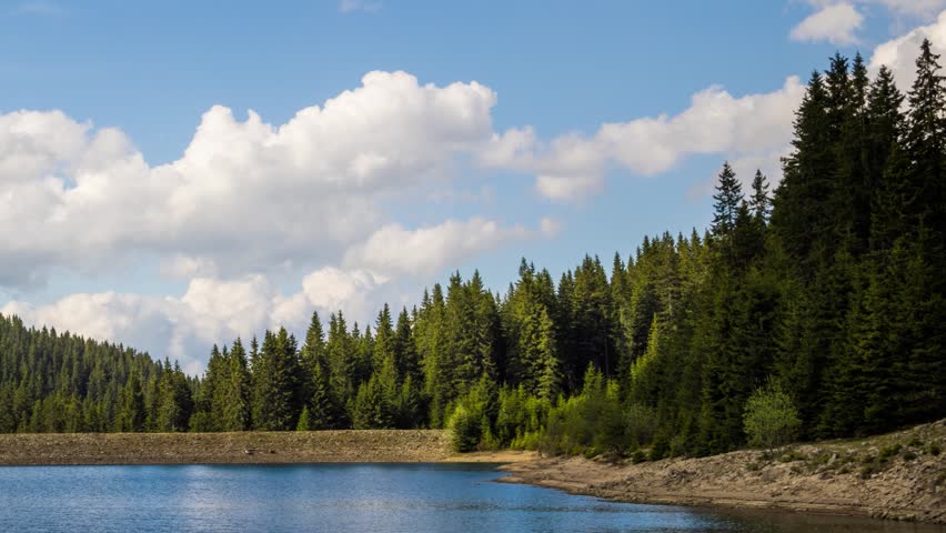 Lake with clear water and stone shore in spruce forest with fir trees against a daytime sky