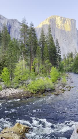 "Scenic view of El Capitan granite cliff at sunset with Merced River flowing through pine forest in Yosemite National Park"