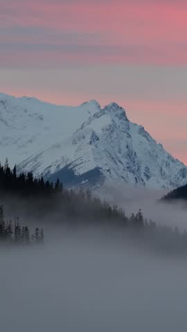 Majestic Snowy Mountain Peaks and Evergreen Forest in Morning Fog with Pink Sky, British Columbia, Canada
