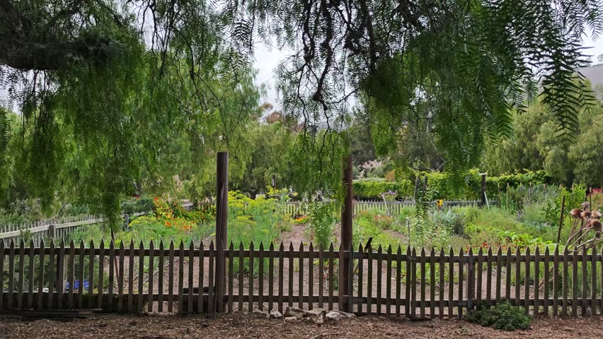 A weathered wooden fence stands guard over a flourishing garden filled with diverse plants and colorful blooms, creating a picturesque scene