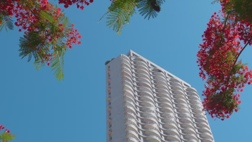  A tall modern residential tower is seen from below against a clear blue sky, framed by pink flowering branches and green leaves. A modern house in Tel Aviv. Travel to Israel.