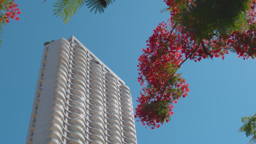 Contemporary architecture in Israel, framed by pink flowering branches and green foliage. House in Tel Aviv. Travel to Israel.