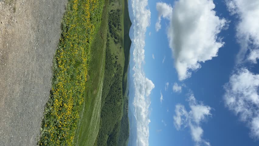 Lush green hills adorned with colorful wildflowers stretch under a clear blue sky, highlighting the beauty of a mountainous landscape