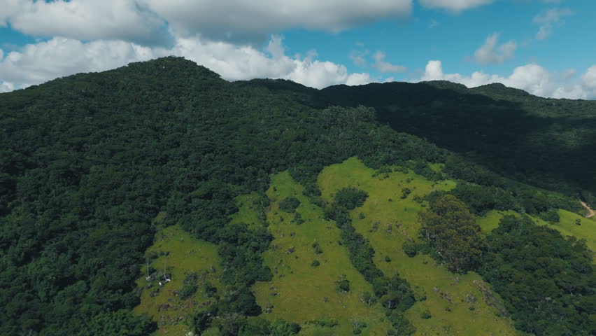 Green hills covered with forests and meadows. State of Santa Catarina, Brazil