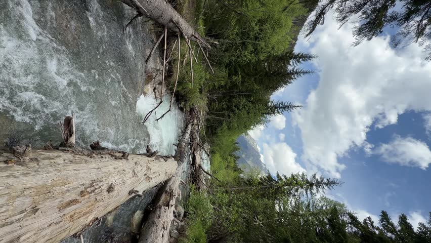 River water flows rapidly over rocks next to fallen tree trunks in a vibrant green forest, with a clear blue sky and white clouds above