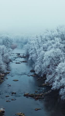 Slow drone flight over dark winding river stream surrounded by white rime ice on trees. Ethereal winter atmosphere with heavy mist and snowy nature. Cold cinematic scenery in frozen wilderness.
