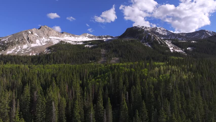 flying over the forest looking up at a snowy Colorado mountain peak