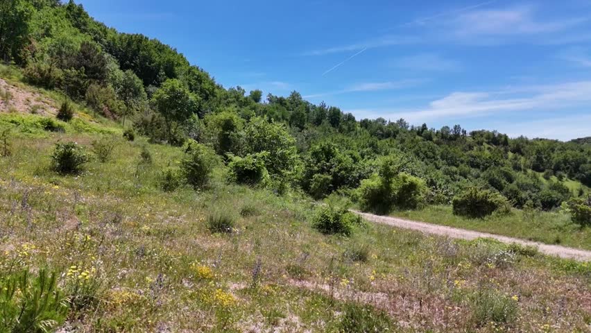Dirt path surrounded by greenery that leads towards mountains covered with vegetation