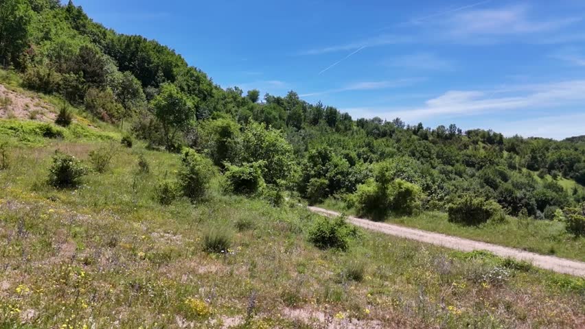 Dirt path surrounded by greenery that leads towards mountains covered with vegetation