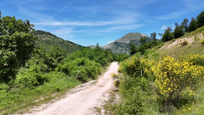 Dirt path surrounded by greenery that leads towards mountains covered with vegetation