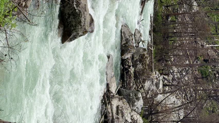 River water flows rapidly over rocks, creating whitewater in a vibrant natural landscape with trees and greenery in the background