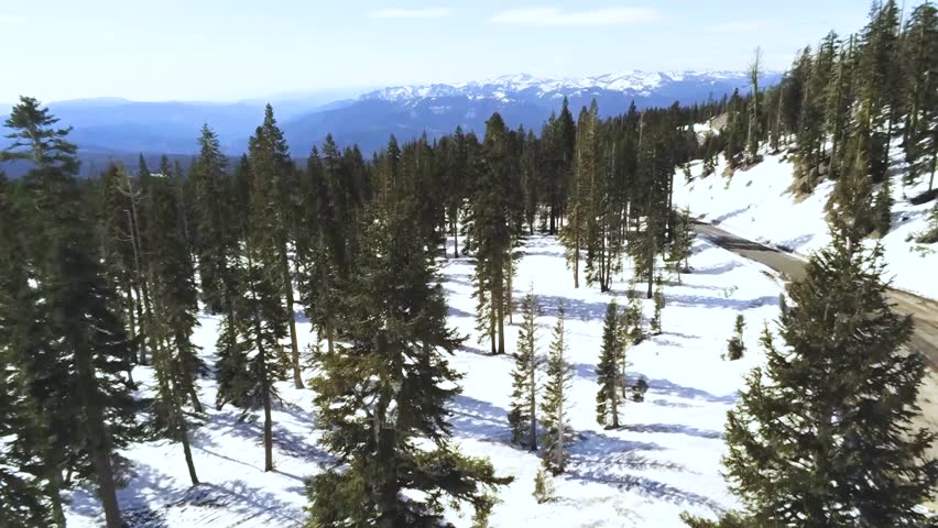A winding mountain road passes through a snowy pine forest toward distant rugged peaks.