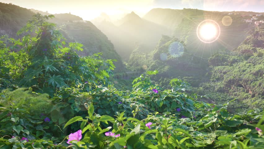 This video shows a serene panoramic view of a lush green mountainside bathed in sunlight
