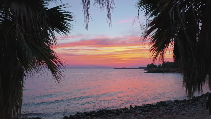 Beautiful sea sunset and palm tree leaves silhouette