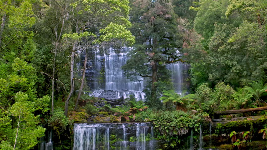 Australia national park Mount Field. Waterfall in jungle wilderness landscape