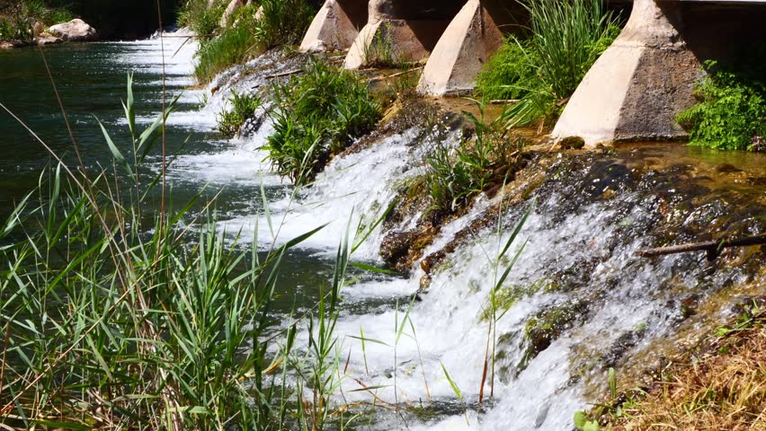 Water cascading over a small river dam under a concrete bridge in a sunny park