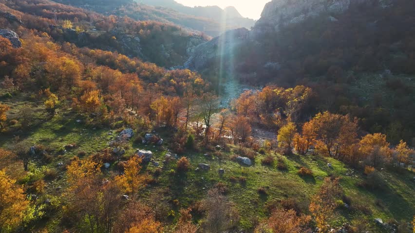Overhead shot of countryside road and fall trees