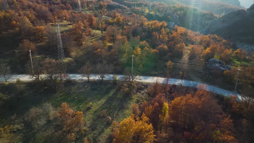 Overhead view of slopes covered with fall leaves