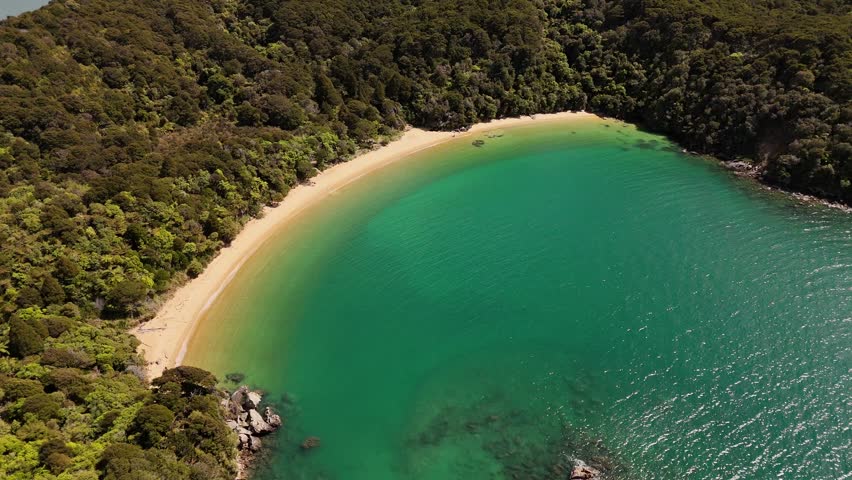 Sandy beach and clear turquoise water surrounded by lush green forest at Te Pukatea Bay in Abel Tasman National Park, New Zealand. Aerial drone top-down view, copy space