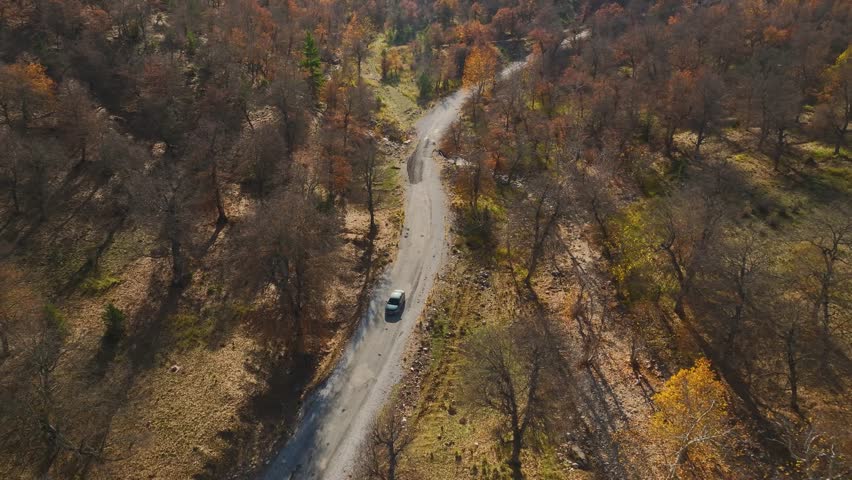 Overhead view of road passing through fall forest