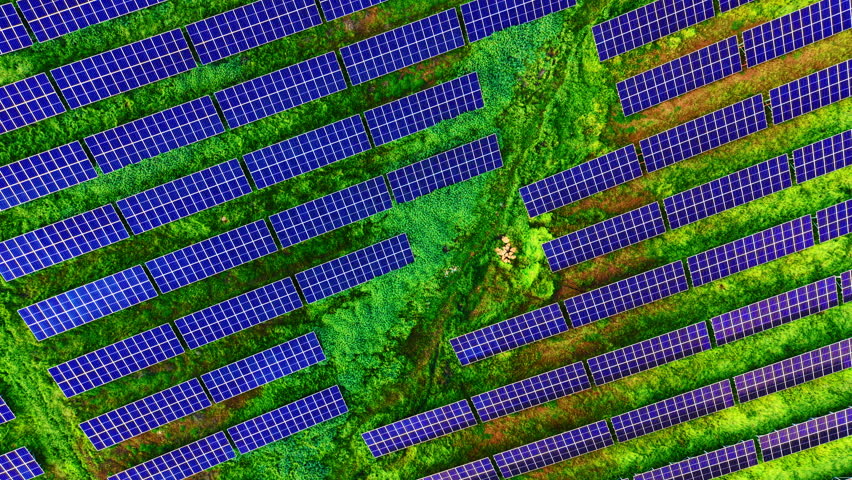 Morning light on geometric solar panel pattern, in a top down abstract drone view of parallel blue rows on a vivid green grass field.