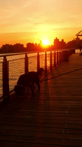 Dog on a wooden boardwalk pier at sunset, Williamsburg, Brooklyn. Backlit silhouette with golden sun, metal railing, planks and city skyline across the river.