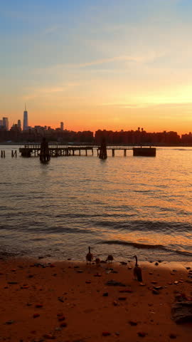 Geese walking along East River shoreline at dusk, Williamsburg, Brooklyn. Wide view with sandy beach, old pier structure, golden water and One World Trade skyline.